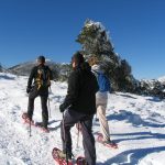 Raquetas de Nieve en Sierra Nevada