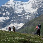 Alta Ruta Chamonix-Zermatt + tu primer 4000
