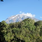 Expedición al Kilimanjaro - Ruta Machame
